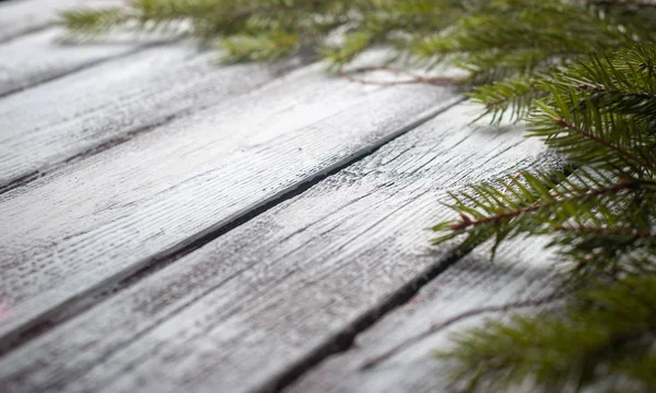 Vit trä bakgrund med gran grenar närbild. Festlig bakgrund, — Stockfoto