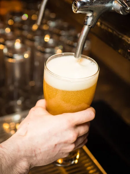 Vers gekoeld bier in een bar gegoten glas — Stockfoto