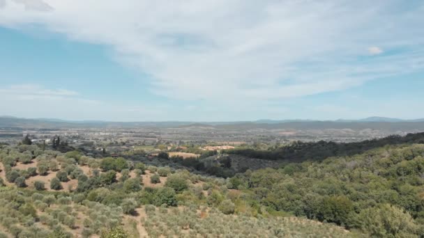 TUSCANIE, ITALIE, ÉTÉ 2019 : les drones survolent les champs de raisin toscan, zoom avant 