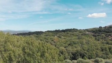 Toskana, İtalya, Yaz 2019: Toskana Ulusal Park Ormanı üzerinde insansız hava aracı uçuşu