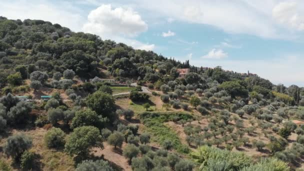 Toskana, Italien, Sommer 2019: Drohne fliegt über toskanische Weinfelder, Zoom aus — Stockvideo