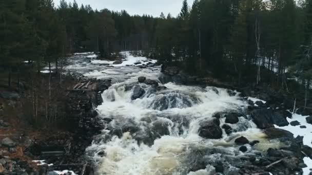 Fast flowing river with rapids in russian north, zoom out drone view — 비디오