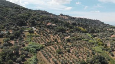 Toskana, İtalya, Yaz 2019: İnsansız hava aracı Toskana üzüm tarlaları üzerinde uçuyor, yakınlaştırıyor