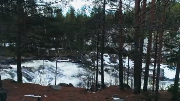 Powolny ruch w zimowym lesie, poruszający się wzdłuż szybkiej rzeki na rosyjskiej północy — Wideo stockowe