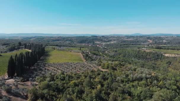 Toskana, Italien, Sommer 2019: Drohne fliegt über toskanische Weinfelder, zoomt rein — Stockvideo