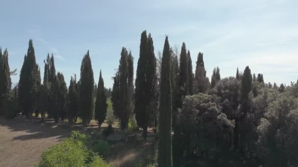 TUSCÂNIA, ITÁLIA - SUMMER 2019: voo aéreo sobre o campo da adega toscana — Vídeo de Stock