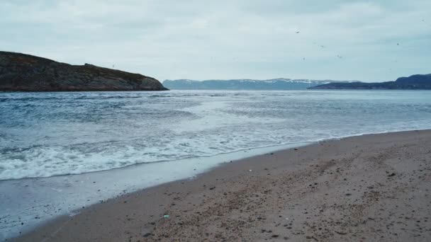 RUSSIA, KOLA PENINSULA, BARENTS SEA: wavy empty seashore on russian north — 비디오