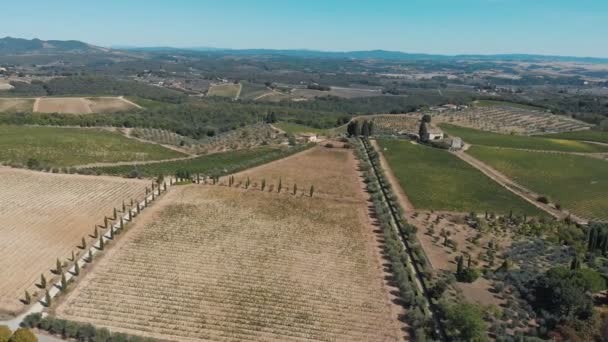 Toskana, İtalya, Yaz 2019: İnsansız hava aracı Toskana üzüm tarlaları üzerinde uçuyor, uzaklaşıyor — Stok video