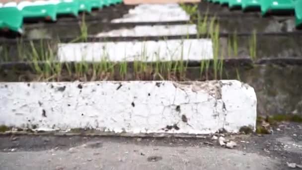 Wandelen op vintage stadion trappen met gras in de zomer — Stockvideo