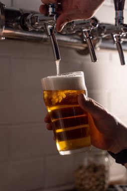Bira musluğundan bardağa hafif altın bira döken adam, beyaz bira köpüğüyle doldur, ellerini kapat.