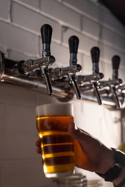Man Gieten Licht Goud Bier Een Glas Van Een Biertap — Stockfoto
