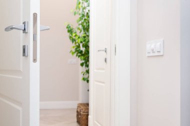 Yakın çekim dairenin iç unsurları. Aralık Beyaz kapı