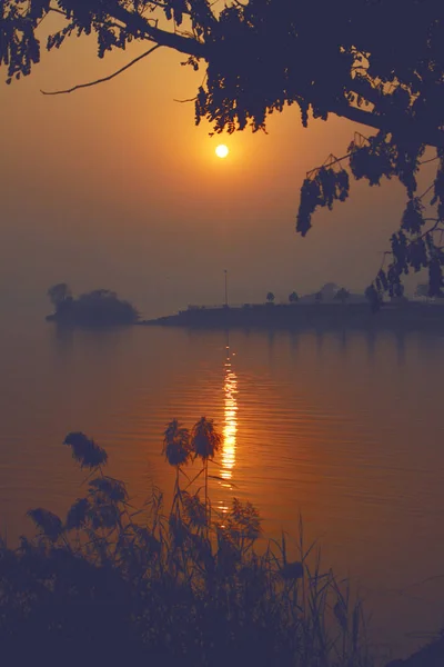 Landschaft des schönen Sonnenuntergangs in goldenem Licht — Stockfoto