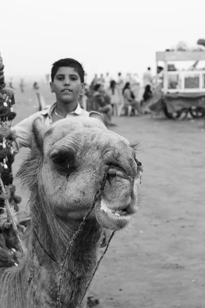 Petit enfant et chameau à la plage de Clifton — Photo