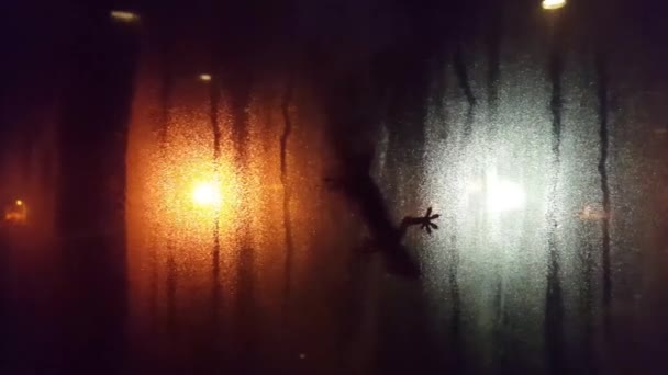 夜幕低垂的窗玻璃上的蜥蜴轮廓与背景中的白色和橙色街灯相对照 — 图库视频影像