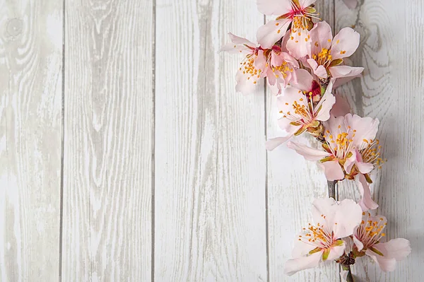 Sztuka wiosna kwitnący Wiosna Kwiaty na podłoże drewniane — Zdjęcie stockowe