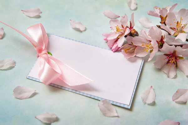 Blank card among almond flowers on light blue background