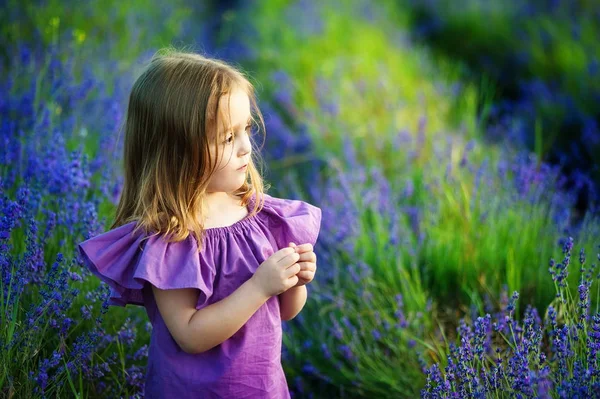 Menina bonita jogando no campo de flores de lavanda florescente. Crianças brincam nas flores da primavera . — Fotografia de Stock