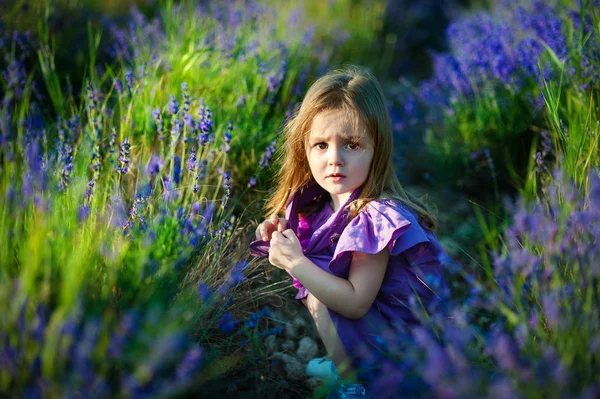 Menina bonito no prado no dia de verão — Fotografia de Stock