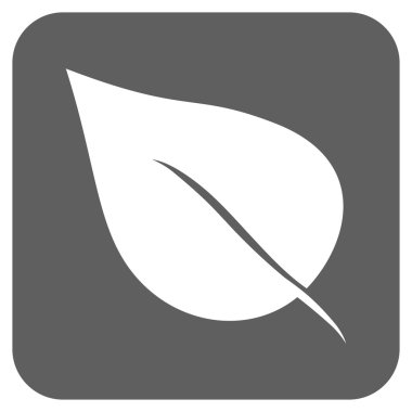 Bitki yaprak düz kare vektör simgesi