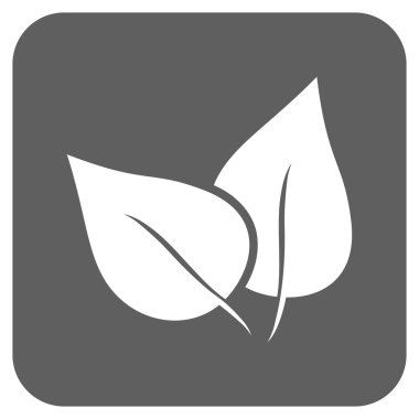 Flora Bitki düz kare vektör simgesi