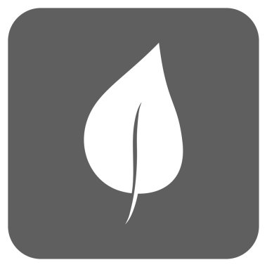 Bitki yaprak düz kare vektör simgesi