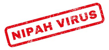 Nipah virüs pencere boyutu