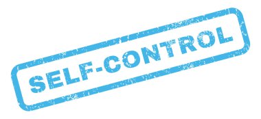 Kendini kontrol pencere boyutu