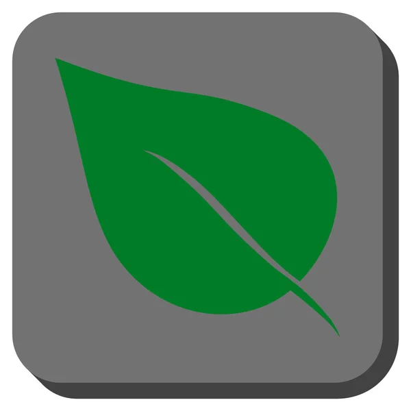 Planta folha arredondada vetor quadrado ícone —  Vetores de Stock