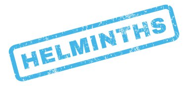 Archlar pencere boyutu