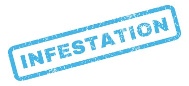 İstila pencere boyutu