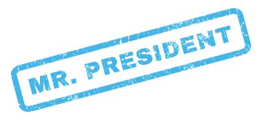 Bay Başkan pencere boyutu