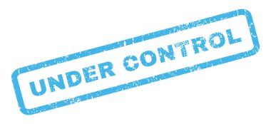 Denetim pencere boyutu altında