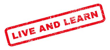 Yaşa ve öğren pencere boyutu