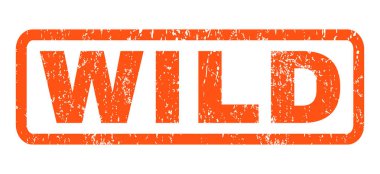 Vahşi pencere boyutu