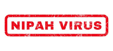 Nipah virüs pencere boyutu