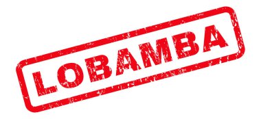 Lobamba pencere boyutu