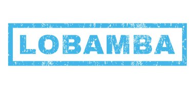 Lobamba pencere boyutu