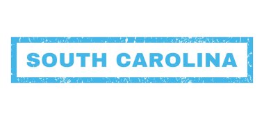 Güney Carolina pencere boyutu