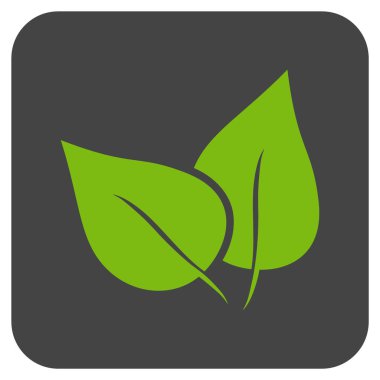 Flora Bitki düz kare vektör simgesi