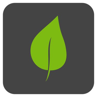 Bitki yaprak düz kare vektör simgesi