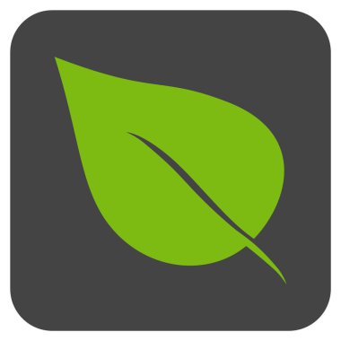 Bitki yaprak düz kare vektör simgesi