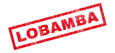 Lobamba pencere boyutu