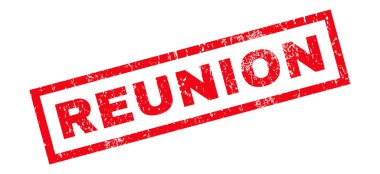 Reunion pencere boyutu