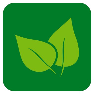 Flora Bitki düz kare vektör simgesi