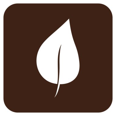 Bitki yaprak düz kare vektör simgesi