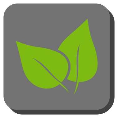 Flora Bitki yuvarlak kare vektör simgesi