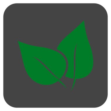 Flora Bitki düz kare vektör simgesi