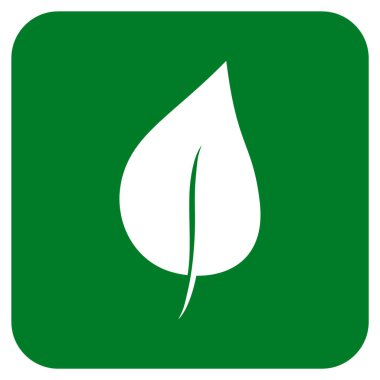 Bitki yaprak düz kare vektör simgesi