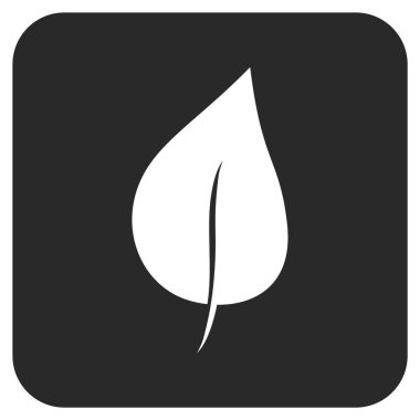 Bitki yaprak düz kare vektör simgesi